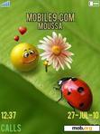 Download mobile theme lady bug