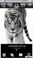 Download mobile theme White tiger