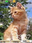 Download mobile theme Red_cats