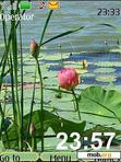 Download mobile theme Peaceful_back_water