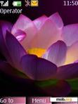 Download mobile theme Purple Flower