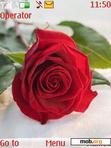 Download mobile theme red Rose