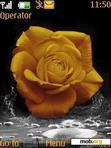 Download mobile theme Yellow Rose