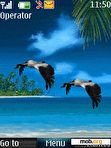 Download mobile theme animated birds