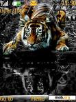 Download mobile theme Amazing Tiger