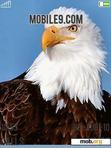 Download mobile theme eagle