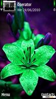 Download mobile theme Green Flower By ACAPELLA