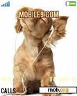 Download mobile theme Funny dogs