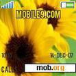 Download mobile theme Yellow Flowers