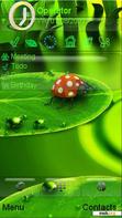 Download mobile theme Ladybug