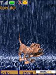 Download mobile theme Dog in the rain