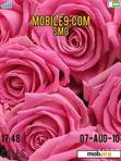 Download mobile theme pink rose