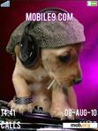 Download mobile theme DOG CUTE