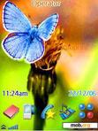 Download mobile theme butterfly
