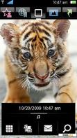 Download mobile theme Little Tiger