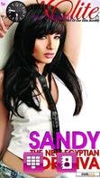 Download mobile theme sandy star