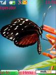 Download mobile theme butterfly ooo