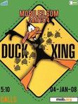 Download mobile theme Duck Xing