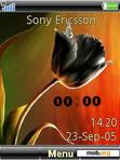 Download mobile theme Black Tulip Clock