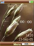 Download mobile theme White Roses Clock