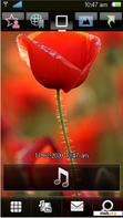 Download mobile theme Poppy