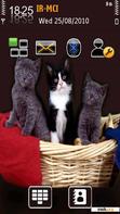 Download mobile theme cats