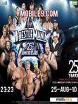 Скачать тему wwe wrestlemania 25