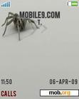 Download mobile theme spider animated