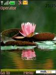 Download mobile theme Lotus animated