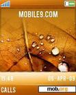 Download mobile theme Autumn ringtone version