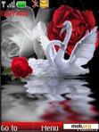 Download mobile theme swan love animated