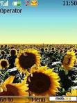 Download mobile theme sunflower