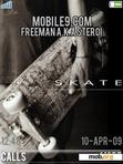 Скачать тему skate