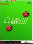 Download mobile theme ladybug