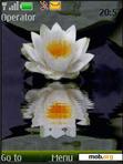 Download mobile theme white lotus  animated