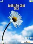 Download mobile theme Flower in the Sky for v4.5