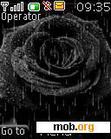 Download mobile theme animate_black_rose