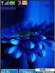 Download mobile theme blue flower