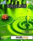 Download mobile theme NEW GREEN WINDOWS