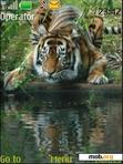 Download mobile theme Tiger animated