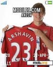 Download mobile theme Andrei_Arshavin