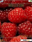 Download mobile theme Fruit