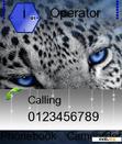 Download mobile theme bluleopard