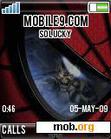 Download mobile theme Spiderman