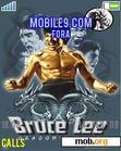 Download mobile theme BruceLee