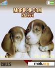 Download mobile theme Dog