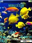 Download mobile theme Undersea