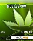 Download mobile theme Erva Verde