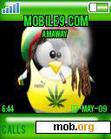 Download mobile theme Rasta Pinguim