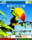 Download mobile theme Tucano